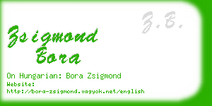 zsigmond bora business card